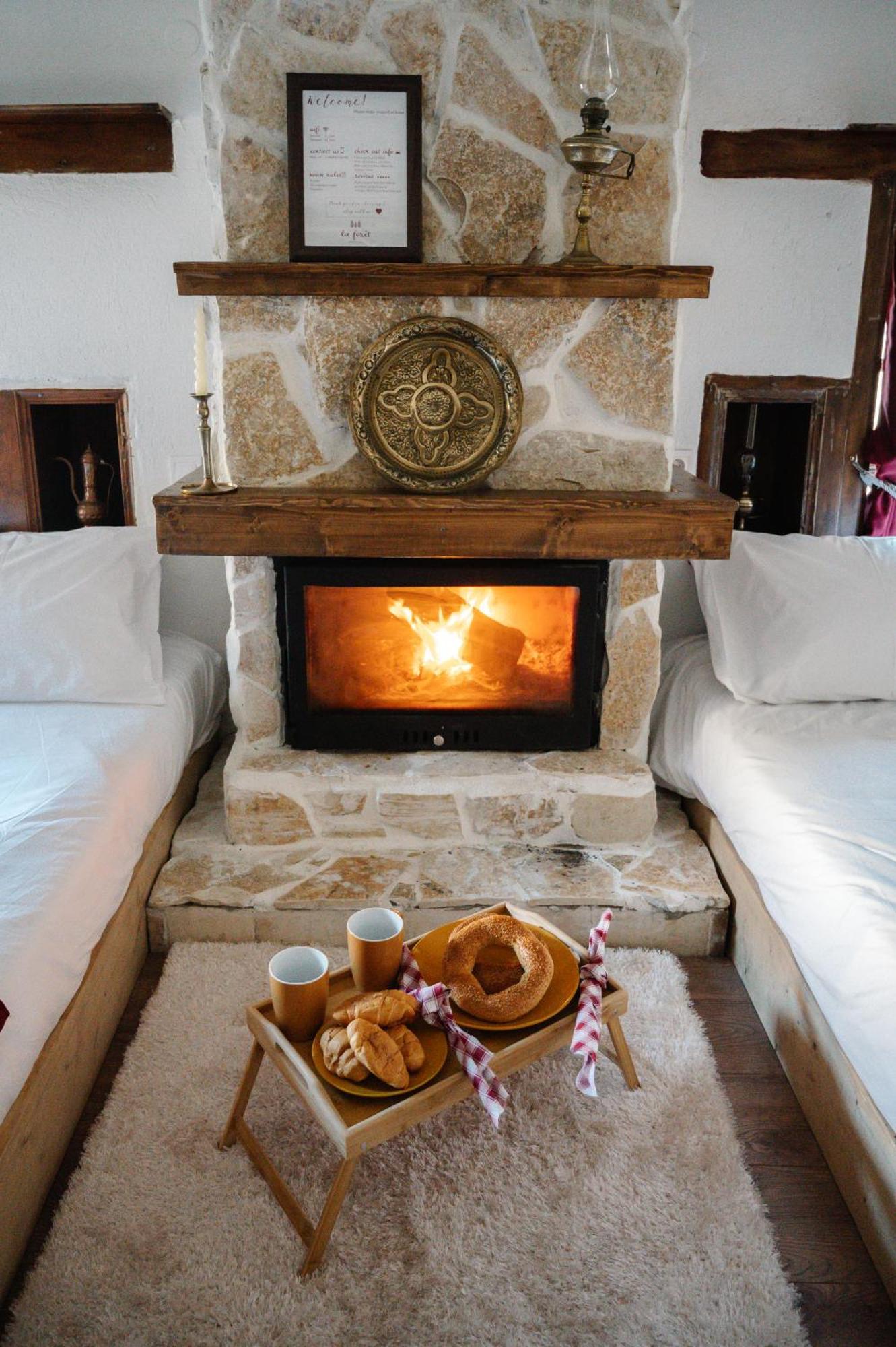 La Foret Holiday home Metsovo